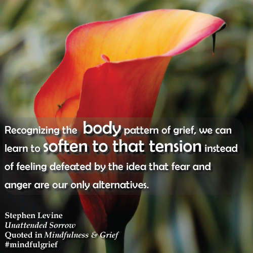 Grief Quote | From Mindfulness & Grief by Heather Stang
