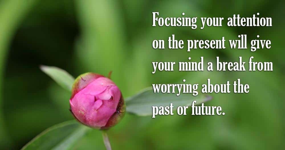 focus-meditation-quote